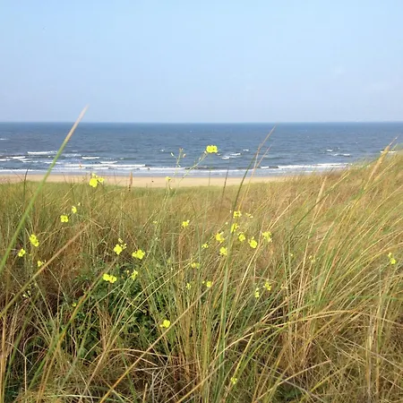 Stunning In North Holland Bike To The *