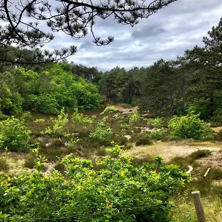 Stunning In Schoorl, North Hollanda Bike To The Schoorl