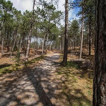 Lejlighed Stunning In Schoorl, North Hollanda Bike To The