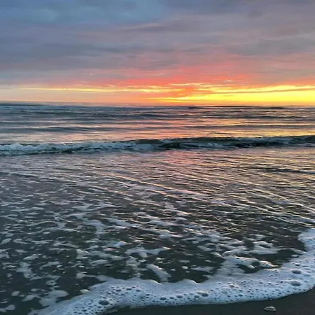 Lejlighed Stunning In Schoorl, North Hollanda Bike To The Schoorl