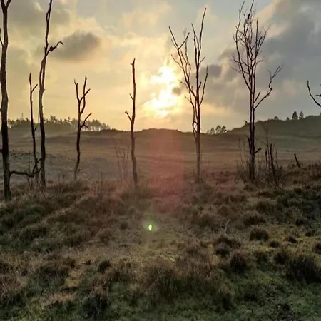 Stunning In Schoorl, North Hollanda Bike To The Apartamento Schoorl