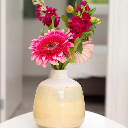 Stunning In Schoorl, North Hollanda Bike To The Schoorl