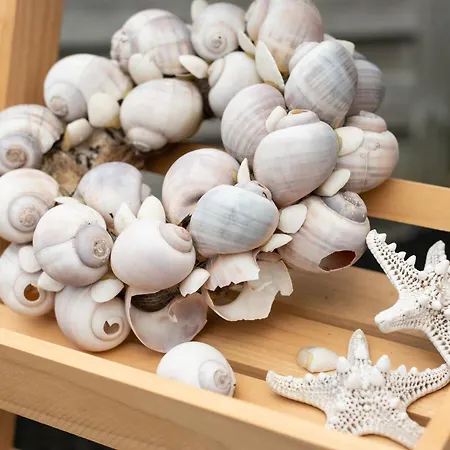 Stunning In Schoorl, North Hollanda Bike To The Apartamento