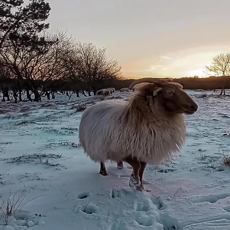 Apartamento Stunning In Schoorl, North Hollanda Bike To The *