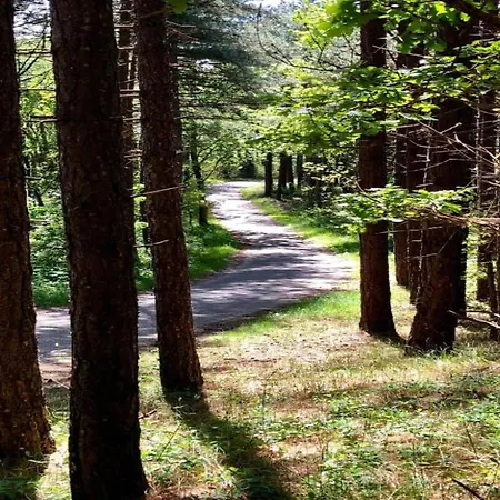 Stunning In Schoorl, North Hollanda Bike To The Apartamento Schoorl