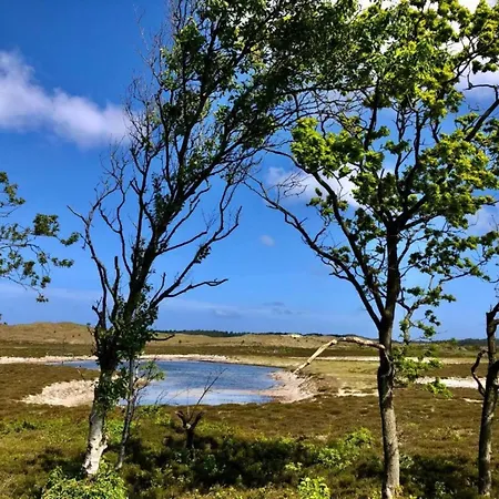 Apartamento Stunning In Schoorl, North Hollanda Bike To The Schoorl