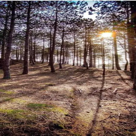 Stunning In Schoorl, North Hollanda Bike To The