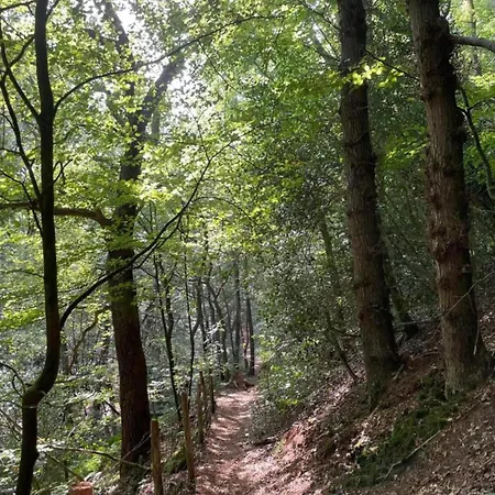 Stunning In Schoorl, North Hollanda Bike To The Lejlighed *