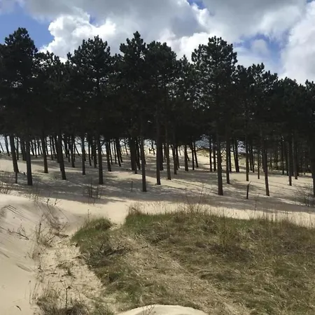 Stunning In Schoorl, North Hollanda Bike To The